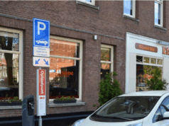 Elektrische auto’s in vrije val: verkoop zakt weg terwijl brandstofauto’s een comeback maken