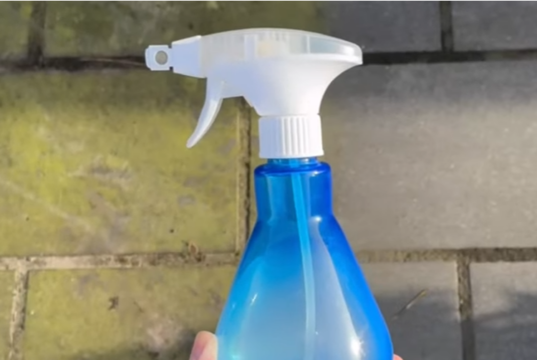 Groene aanslag weg zonder schrobben: dit keukeningrediënt giet je zo over je terras