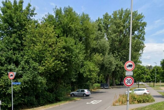 Peuter van 20 maanden levenloos in snikhete auto: wat ze vervolgens over haar moeder ontdekten