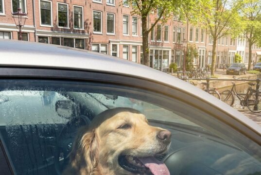 Ruit inslaan bij kind of hond in bloedhete auto: mag het en riskeer je straf? De regels uitgelegd