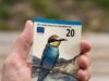 Zo zien de nieuwe eurobiljetten eruit: dit verandert er voor je portemonnee