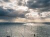 Onderzoek onthult: wind op zee kost miljarden aan belastinggeld, milieuwinst weegt niet op tegen de kosten
