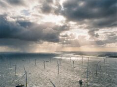 Onderzoek onthult: wind op zee kost miljarden aan belastinggeld, milieuwinst weegt niet op tegen de kosten